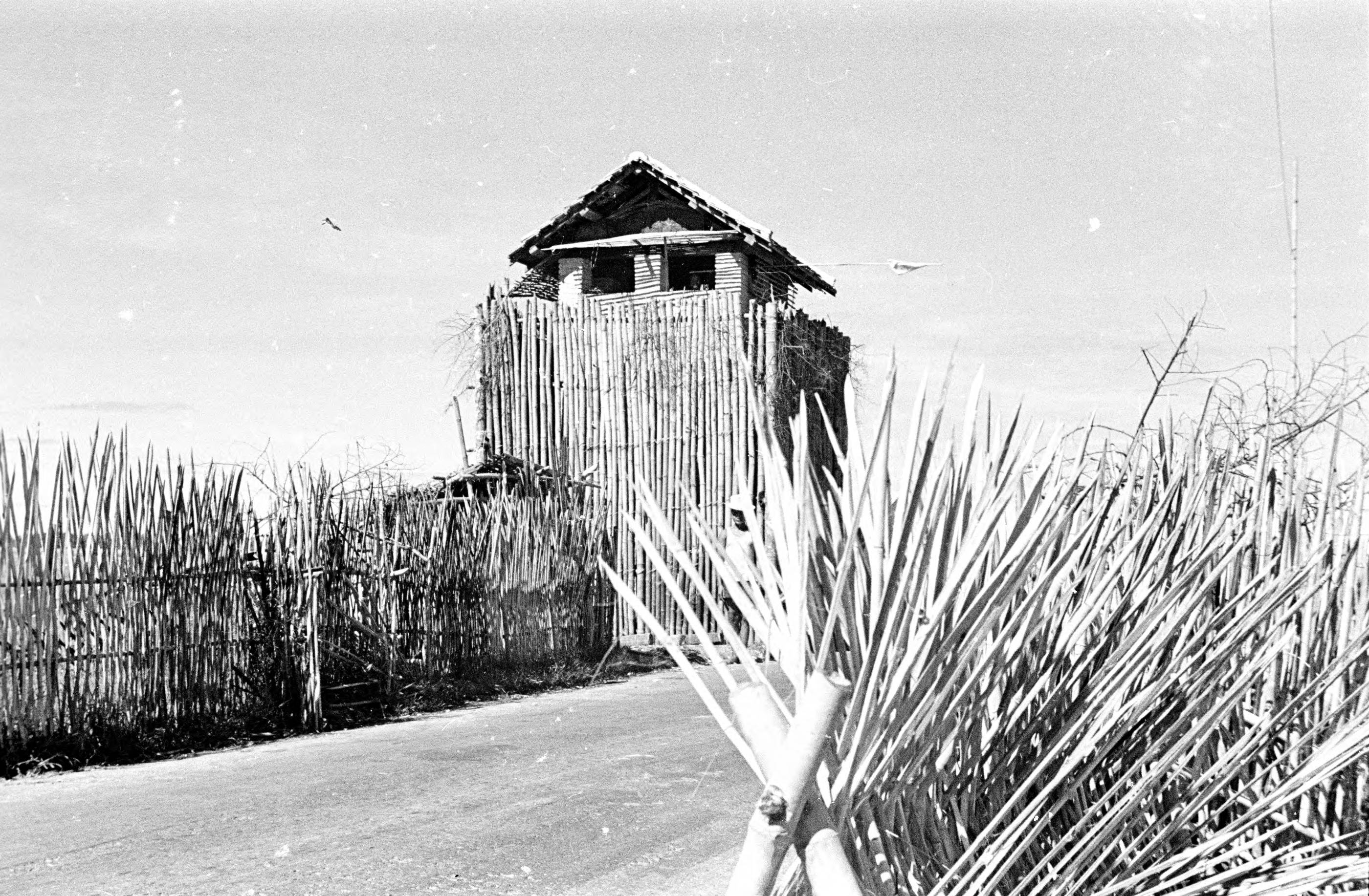 1950-view-of-watchtower-behind-bamboo-barricade-in-ty-ninh_12469862555_o